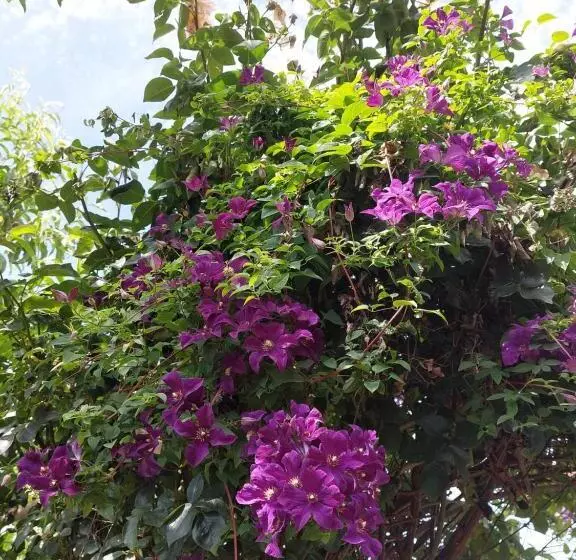 Appartement   Fewo Wenne