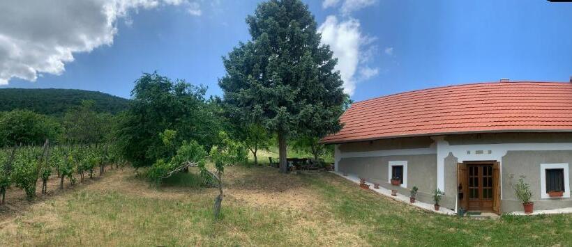 Balaton Home With A Majestic View