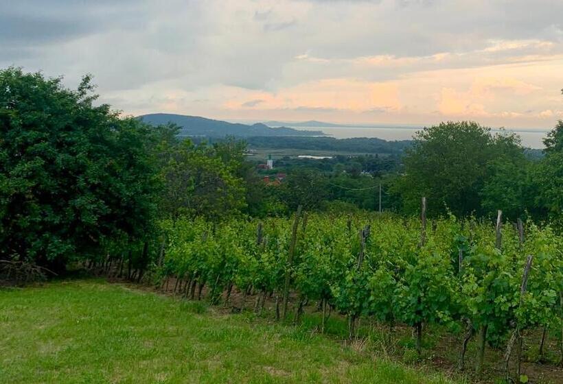 Balaton Home With A Majestic View