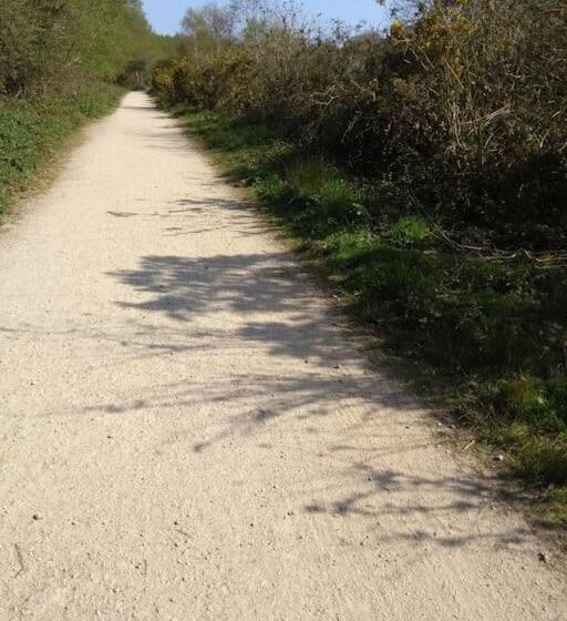 Dingley Dell   Superb Location For Truro In Private Accommodation