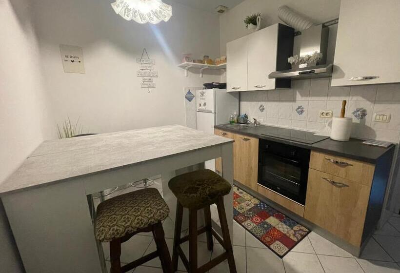 پانسیون House365