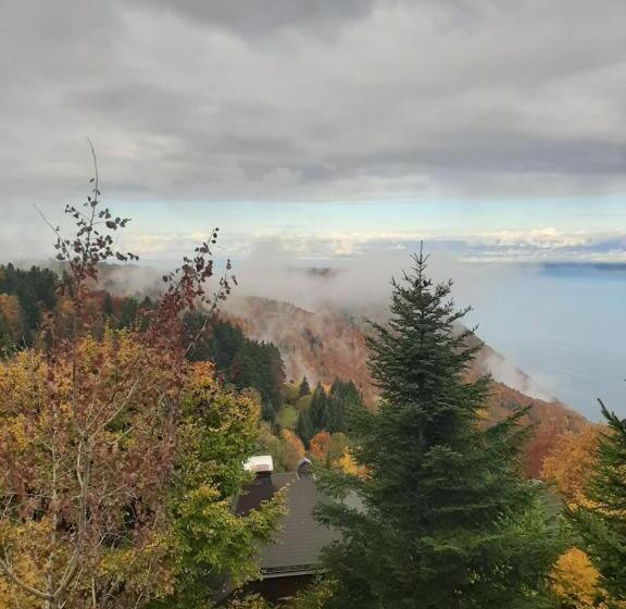 Châlet Vue Lac Léman à 1000 Mètres D Altitude
