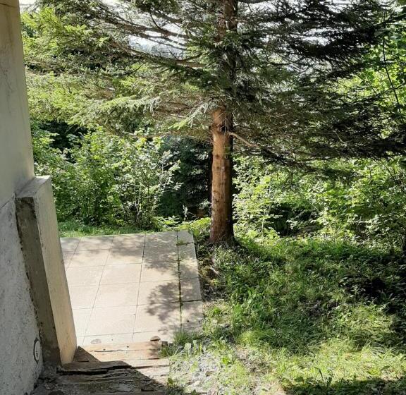 Châlet Vue Lac Léman à 1000 Mètres D Altitude