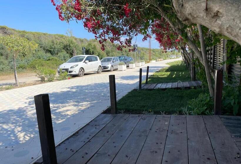 膳宿费 Villa Wanda A 300 Mt Dal Mare