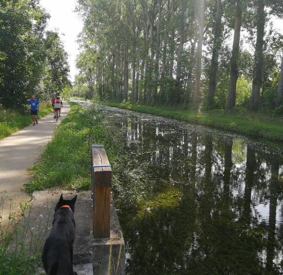 Appartementy Coco Mango