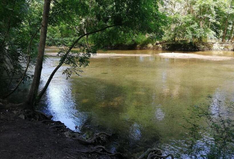 Appartementy Coco Mango