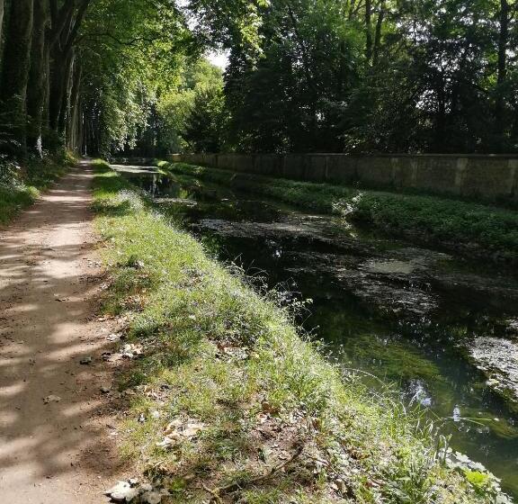 Appartementy Coco Mango