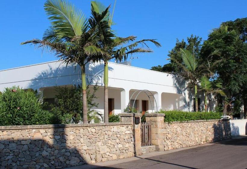 Pensionat Camera Octopus