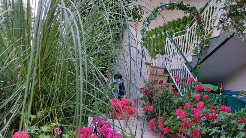 ペンション Casa Di Sofia