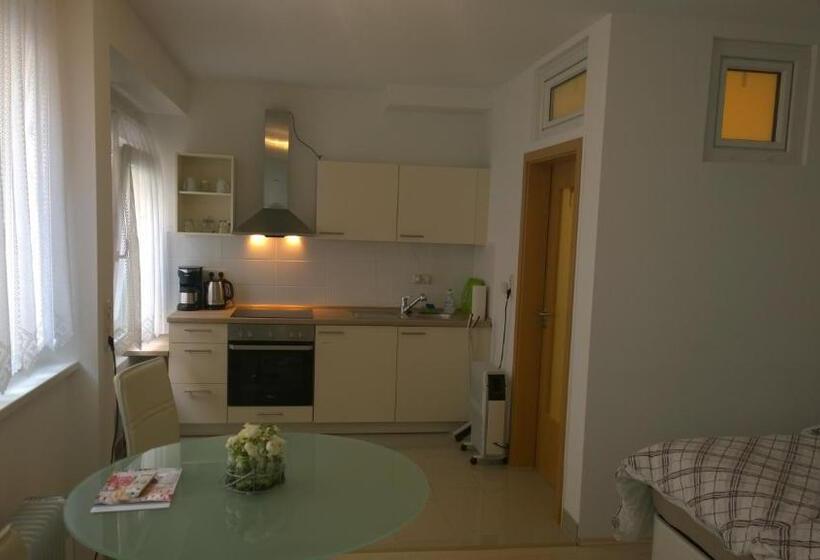 הוסטל Pensionsappartments Blitz