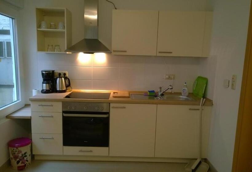 הוסטל Pensionsappartments Blitz