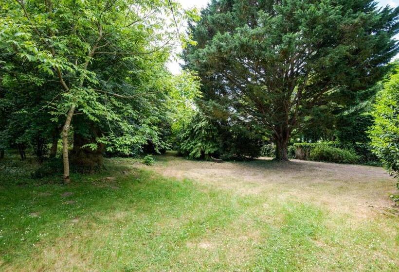 Castle Life At Saint Benoît La Forêt