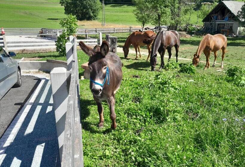 Turistična Kmetija Marovt