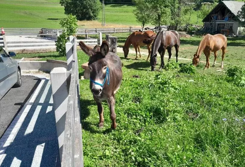 Turistična Kmetija Marovt