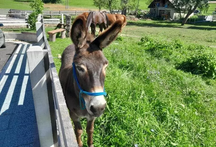 Turistična Kmetija Marovt