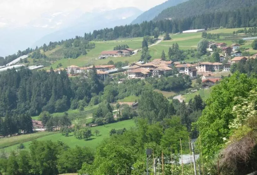 호텔 Agriturismo Pisani