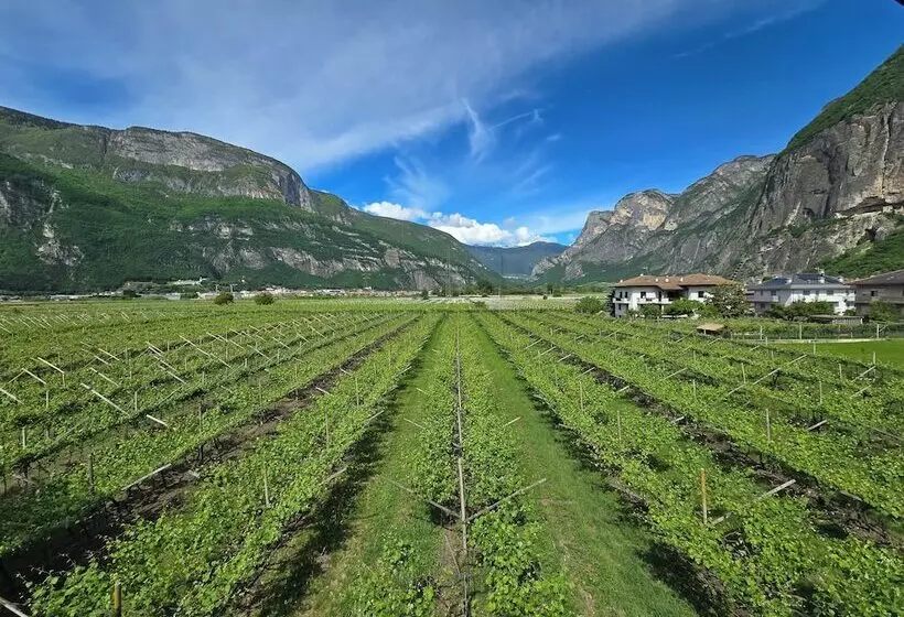 Отель Antico Fienile Agritur