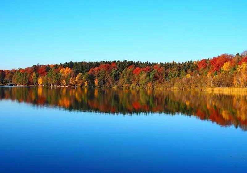 Отель Bildungsblick