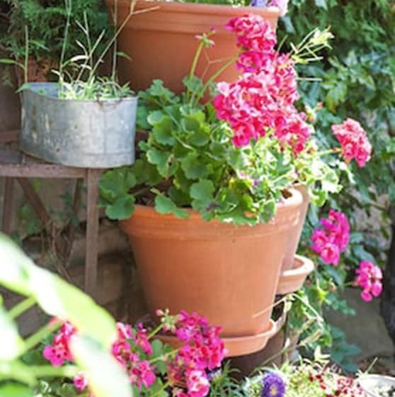 هتل De Charme Zum Schiff