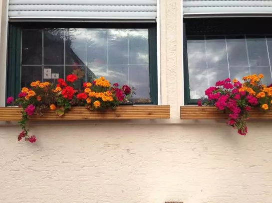 בית מלון כפרי Graf Zeppelin