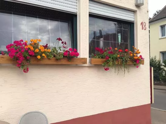 בית מלון כפרי Graf Zeppelin