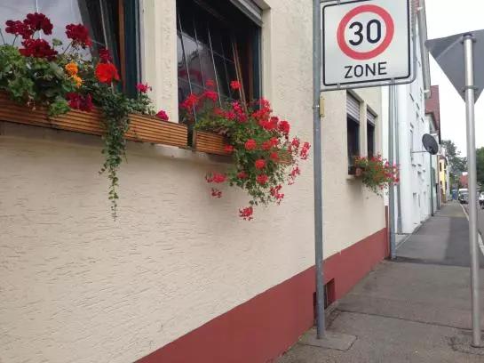 בית מלון כפרי Graf Zeppelin