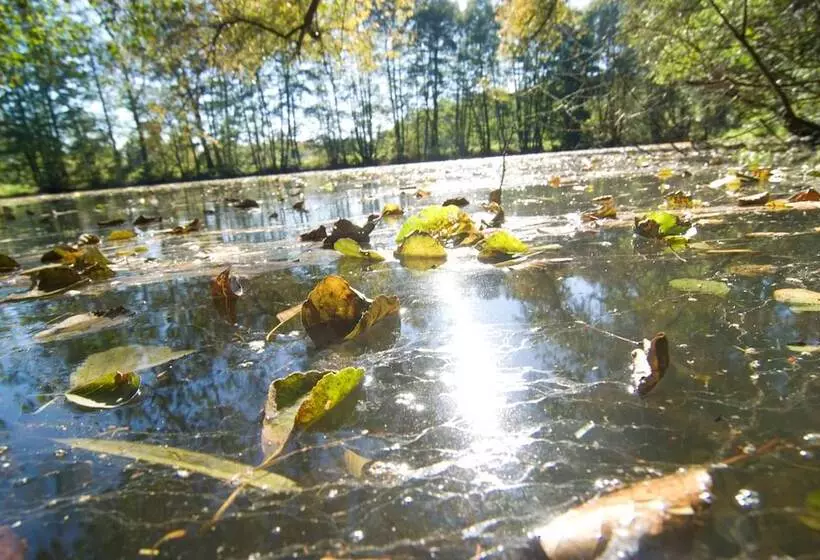 هتل Wassermuhle Heiligenthal