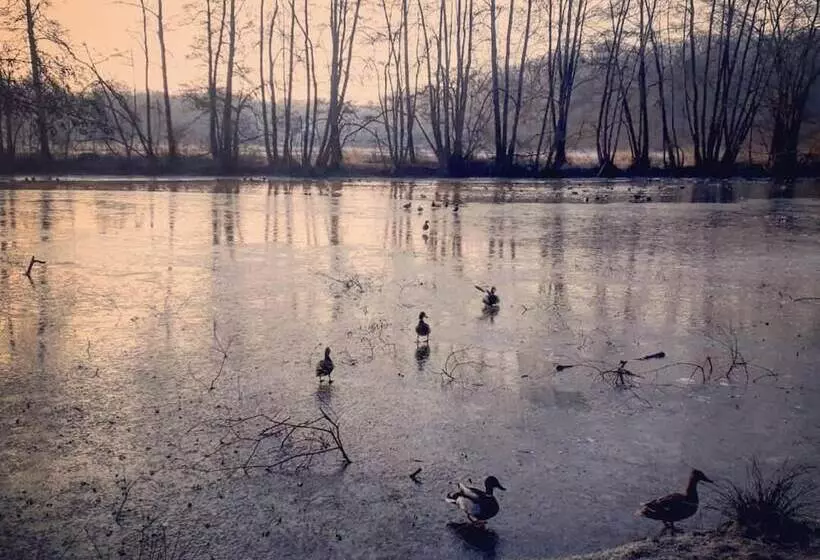 هتل Wassermuhle Heiligenthal