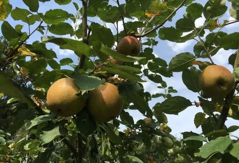 Landhaus Hotel Göke