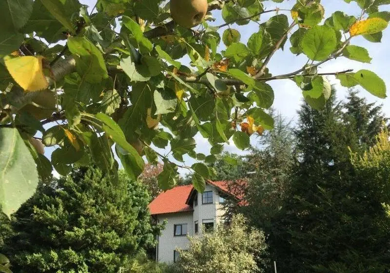 Landhaus Hotel Göke