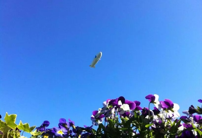 Пансион Apfelblüte Bed & Breakfast 8 Km Vom Bodensee