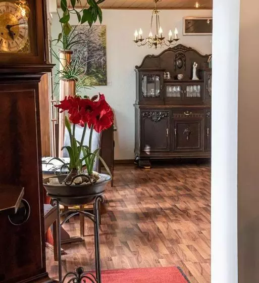 Пансион Neubert`s Gasthaus Am Rhein