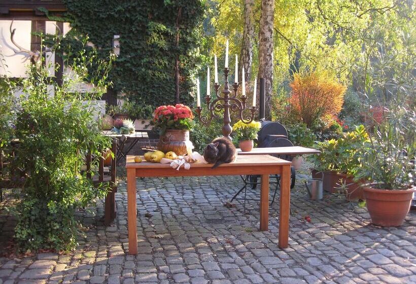 膳宿费 Schlafschön