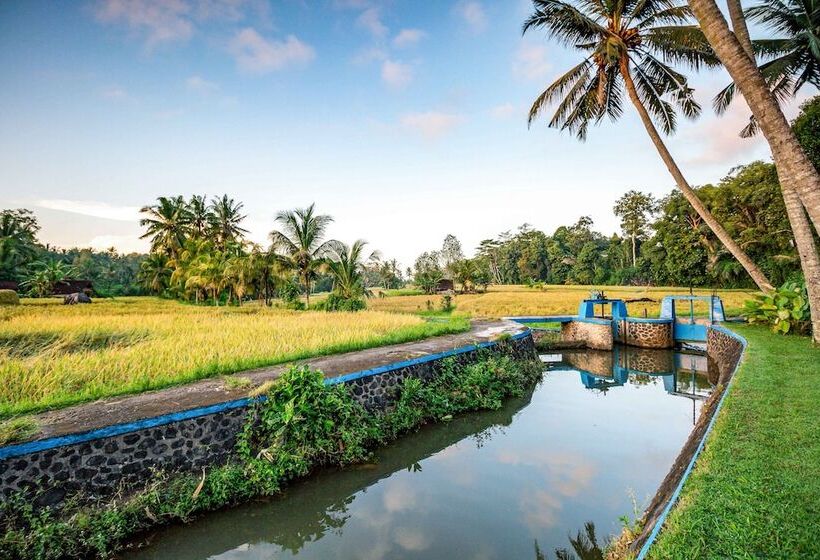 Villa Taman Di Blayu By Nagisa Bali