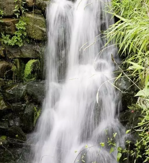 Wagners Seehotel Schleusingen