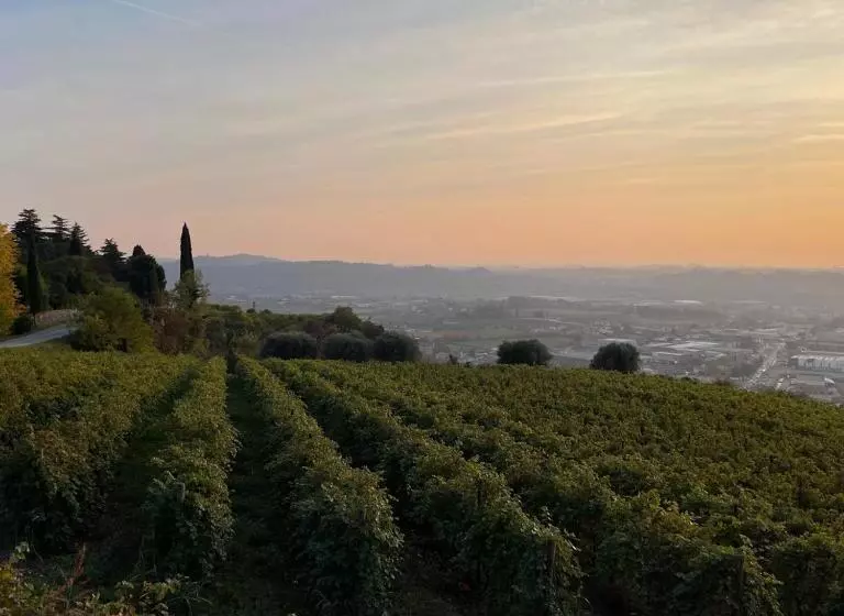 ホテル Agriturismo Ca  Verde