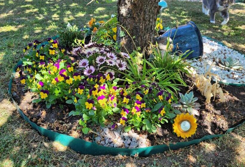 Lägenhet I Borgholms Villa