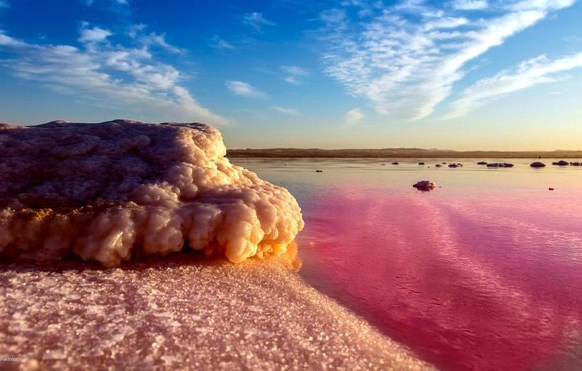 Lovely 1bedroom Renewed Apartment With 3 Pools