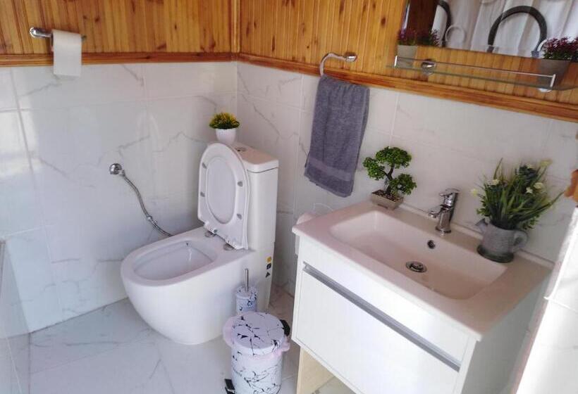 Traditional House In Pelendri