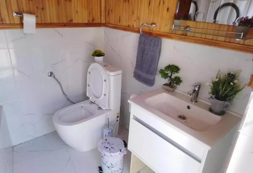 Traditional House In Pelendri