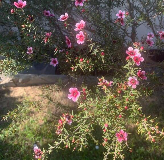 B&b Monte Di Portofino