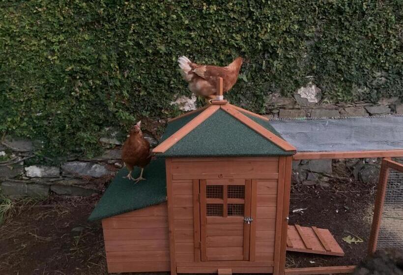 B&b Monte Di Portofino