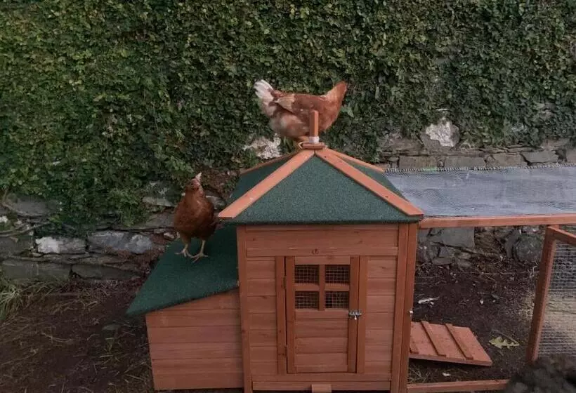 B&b Monte Di Portofino