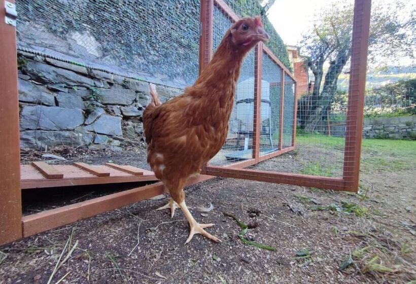 B&b Monte Di Portofino