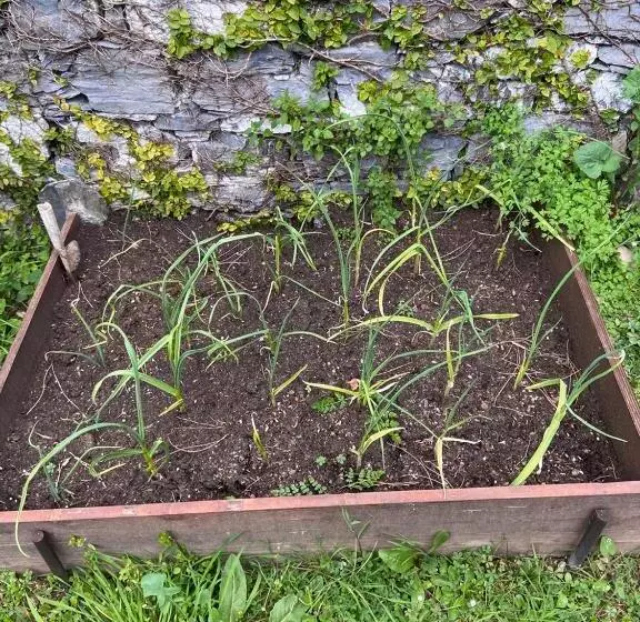 B&b Monte Di Portofino