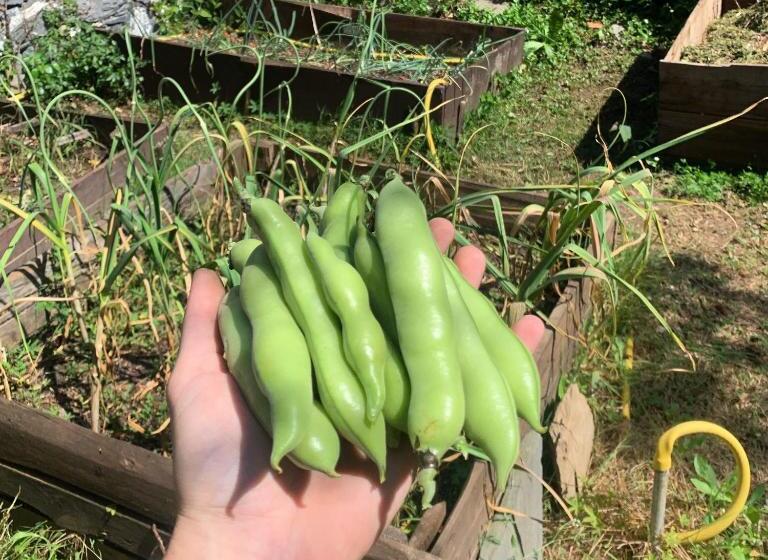 B&b Monte Di Portofino