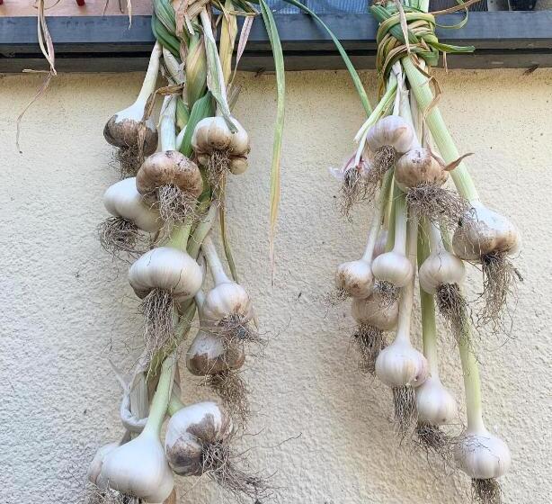 B&b Monte Di Portofino