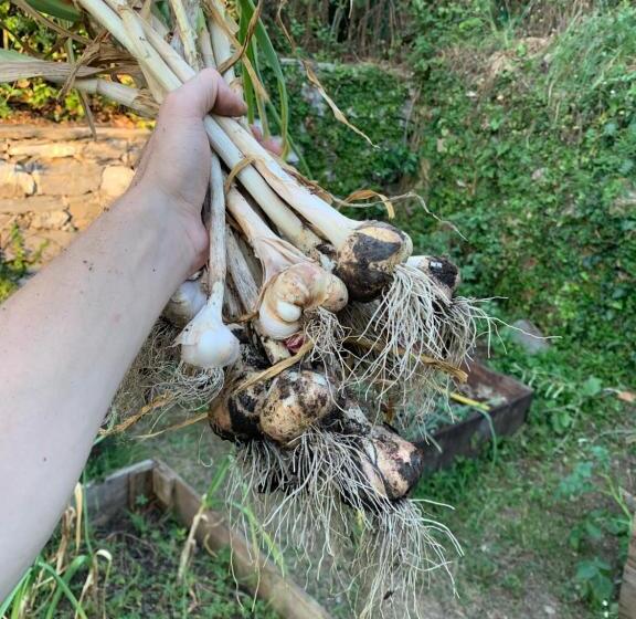 B&b Monte Di Portofino