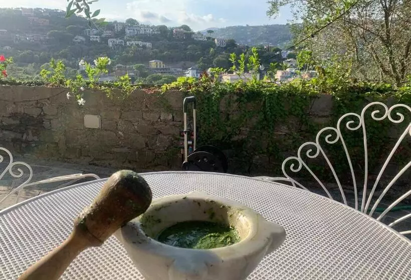 B&b Monte Di Portofino