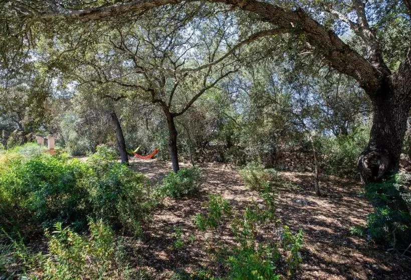 Costitx   39376 Mallorca